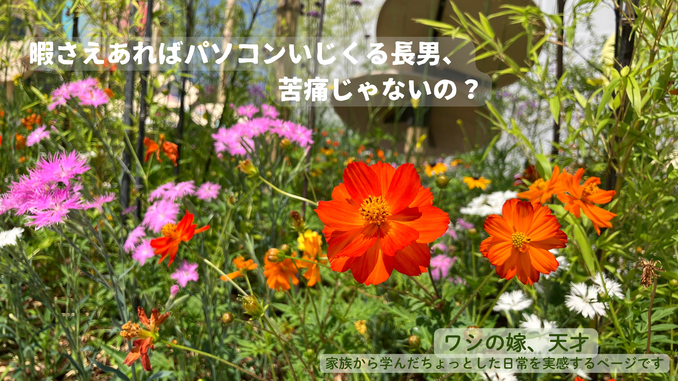 暇さえあればパソコンいじくる長男、苦痛じゃないの？