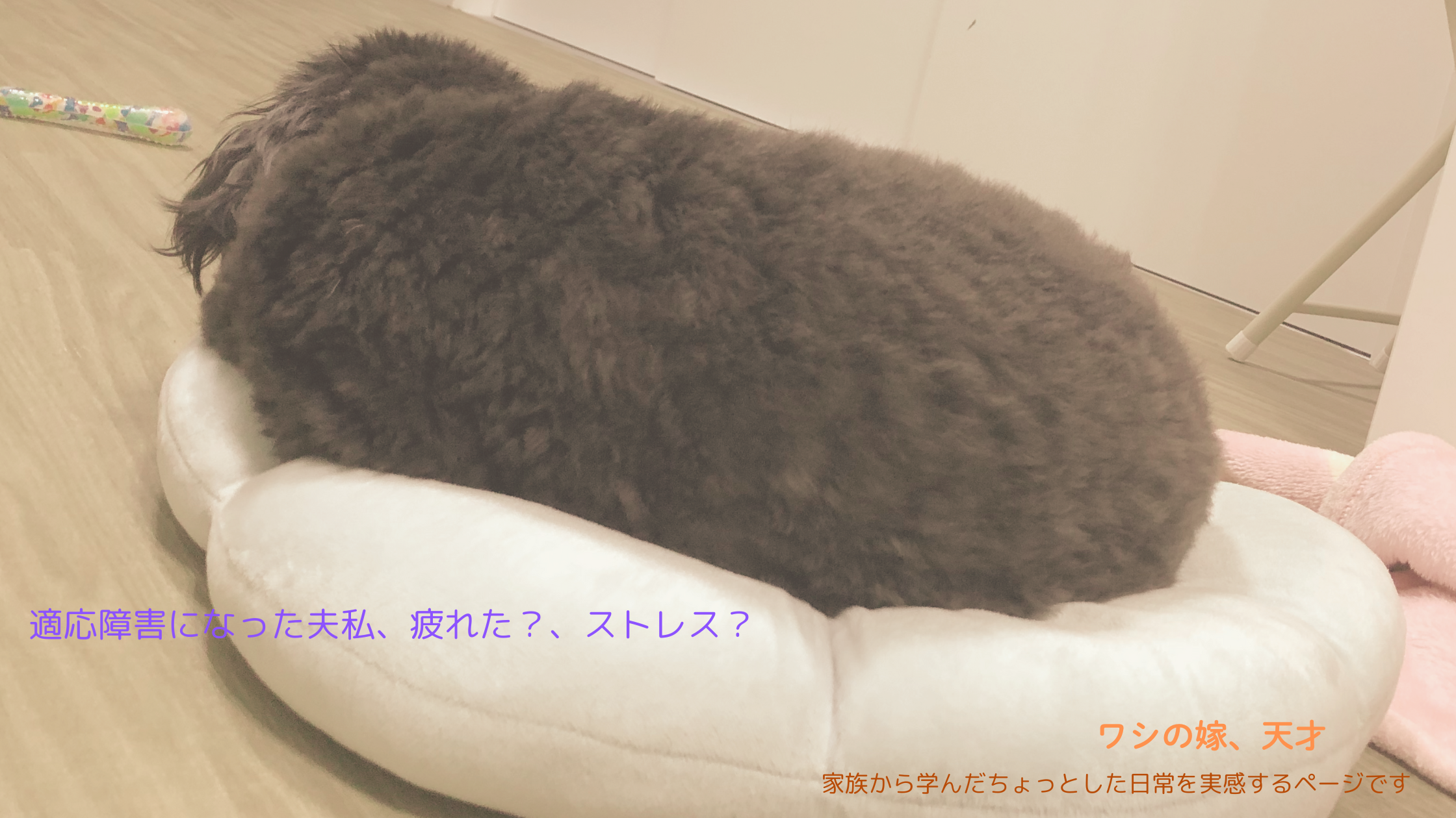 適応障害になった夫私、疲れた？、ストレス？