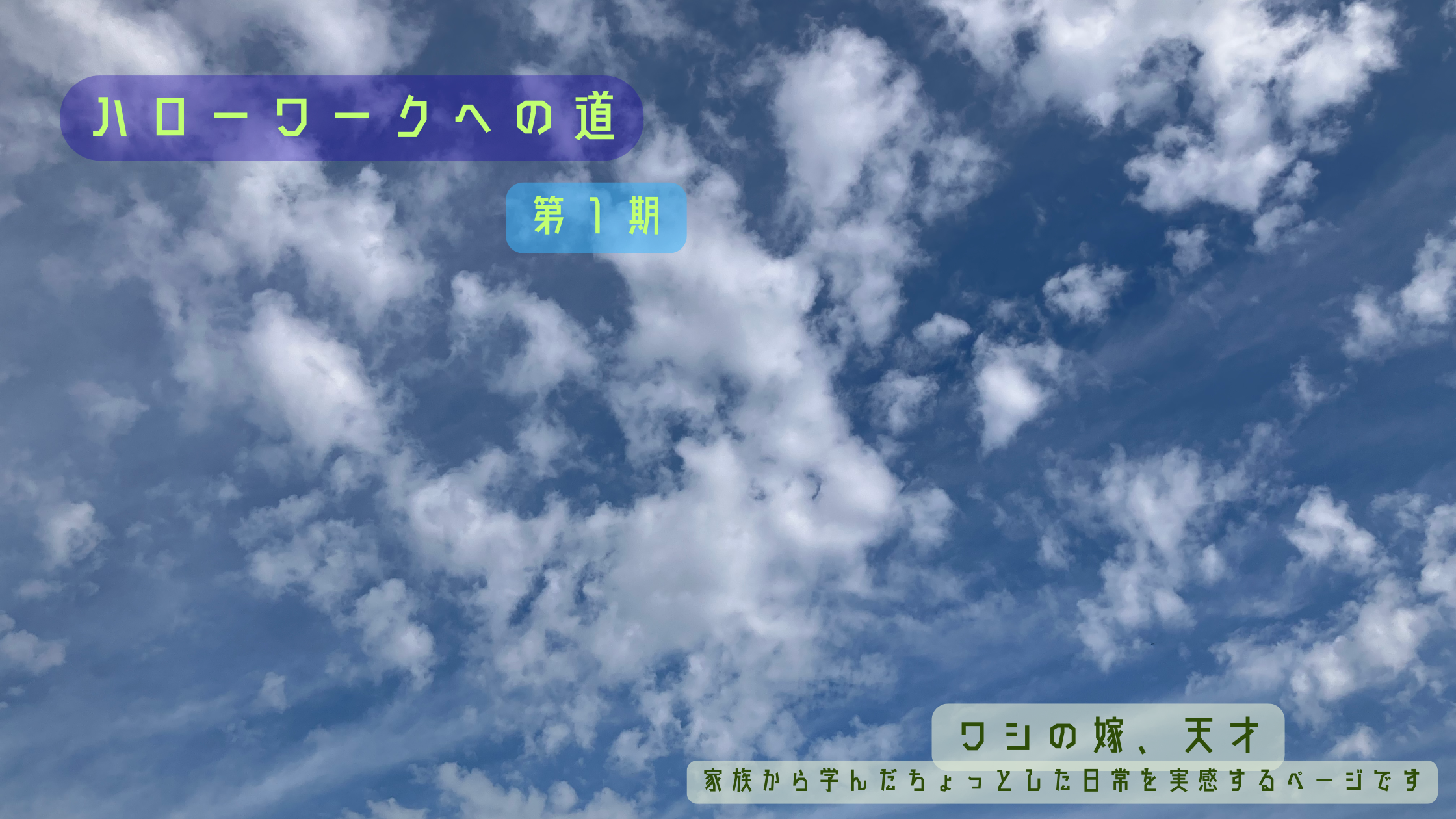 ハローワークへの道　第1期